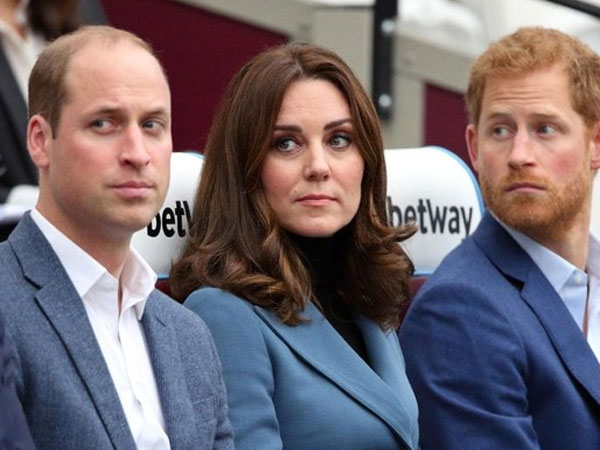 Công nương Kate chìa cành ô liu với Harry