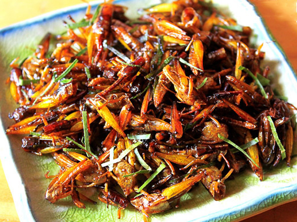 Người phụ nữ Nghệ An tử vong sau khi ăn 1 con châu chấu rang