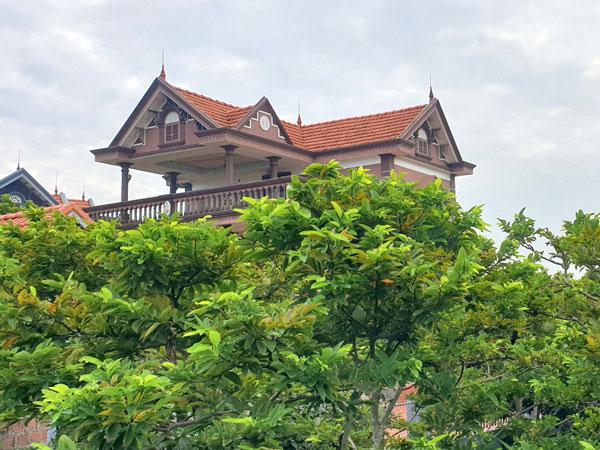 Ngôi làng ngày càng nhiều biệt thự nhờ trồng loại cây này