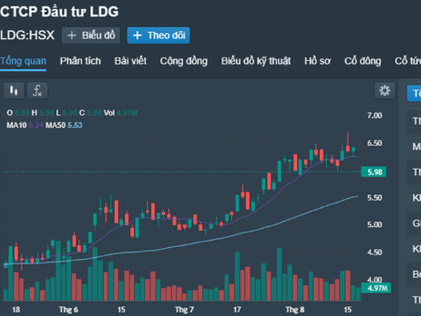 Hủy toàn bộ giao dịch bán chui cổ phiếu của Chủ tịch LDG, hoàn tiền cho nhà đầu tư