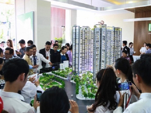 Chủ tịch bán chui cổ phiếu vì thư ký sai, nhà đầu tư tháo chạy gần 200 tỷ đồng