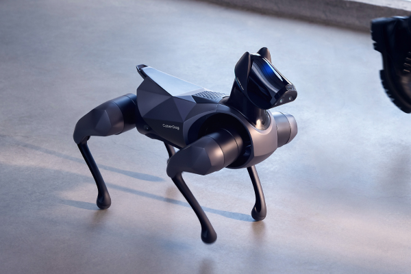 Chó robot làm trợ lý ảo nhưng giá cả khiến nhiều người lắc đầu