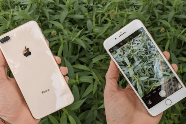 Hé lộ công thức giúp Apple hồi sinh hàng triệu chiếc iPhone cũ