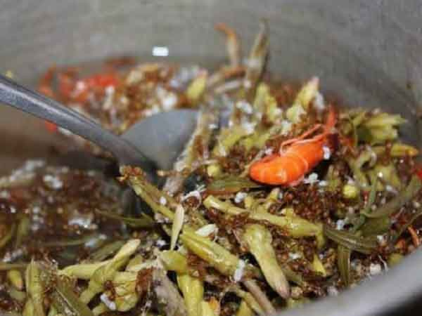 Canh chua kiến vàng và loạt đặc sản Đắk Nông thơm ngon lạ miệng