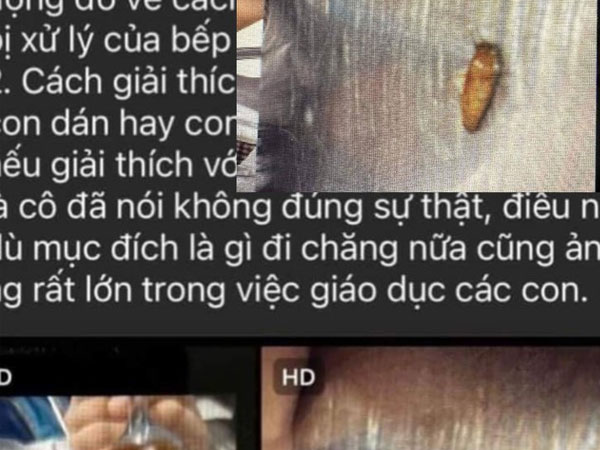 Trích xuất camera khu vực bếp ăn để xác minh côn trùng trong suất ăn của học sinh là 'con gián' hay 'con ong'