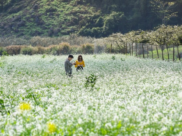 Các tour du lịch ngắn ngày phù hợp cho dịp nghỉ lễ 2/9