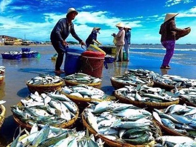 Nhật xả triệu tấn nước thải phóng xạ, cổ phiếu thủy sản Việt đồng loạt tăng mạnh