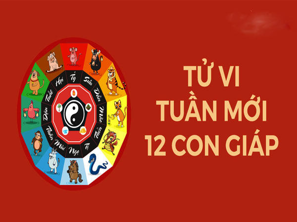 Tử vi tuần mới từ 28/8 - 3/9/2023 của 12 con giáp: Sửu lắm tin vui, Ngọ di chuyển nhiều