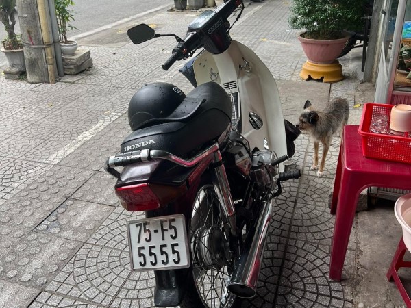 Honda Dream Thái biển 'lục quý' 5 hàng hiếm của dân chơi Huế