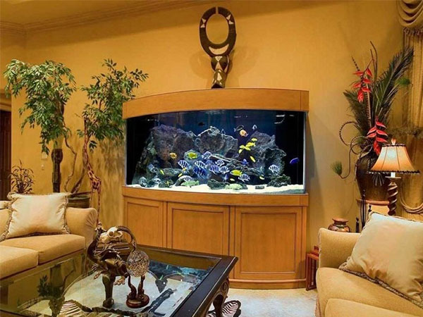 3 vị trí bày bể cá phong thủy dễ khiến gia chủ thất nghiệp