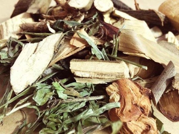 Uống thuốc nam sau khi bị chó cắn, bé gái 8 tuổi tử vong