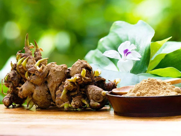 Nghiên cứu đột phá từ Nhật: Loại củ cực phổ biến ở Việt Nam có tác dụng ngăn ngừa ung thư