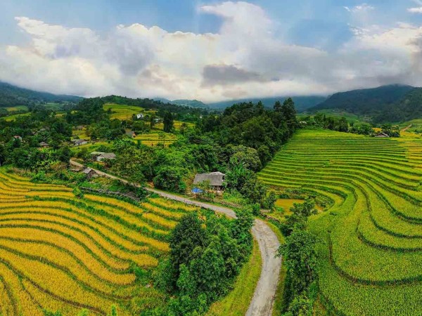 Đến Dền Sáng ngắm lúa vàng