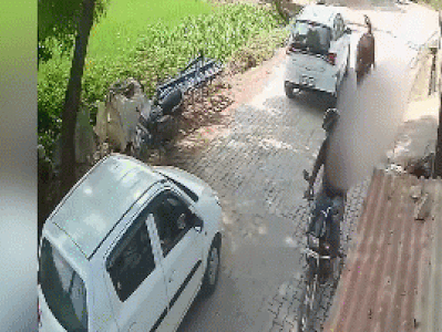 Clip: Bò điên tấn công, kéo lê người đàn ông 100 mét trên phố
