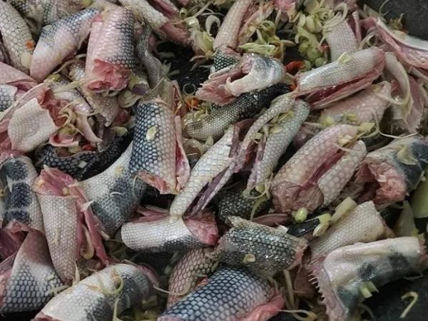 Đẻn biển Quảng Bình, đặc sản trời ban cùng những món ăn độc đáo