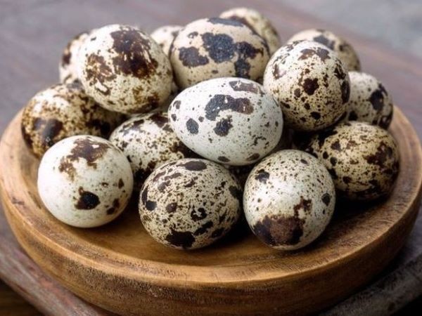 Một loại thực phẩm ví là 'nhân sâm của động vật', là bảo bối của đàn ông và dưỡng nhan của phụ nữ