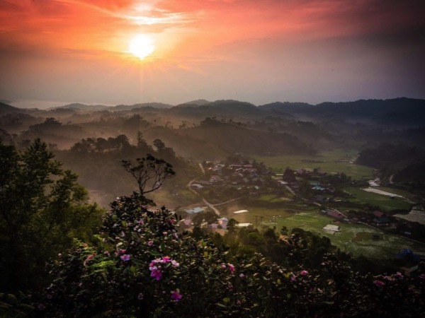 Khám phá làng cổ Vi Rơ Ngheo: Thiên đường hoa địa lan