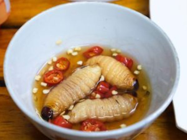 5 món ngon từ đuông dừa miền Tây, đặc sản trông ghê rợn nhưng giàu dinh dưỡng