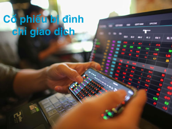 Hàng loạt cổ phiếu bị đình chỉ giao dịch, có cả IBC của Shark Thủy