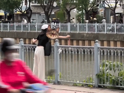 Clip cô gái phóng sinh cua biển xuống sông hút hơn 3 triệu lượt xem cùng rất nhiều bình luận 'dở khóc dở cười'