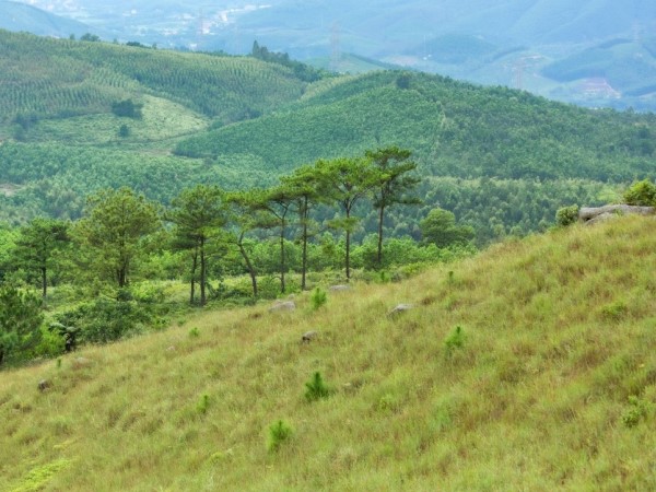 Ngỡ ngàng vẻ đẹp hoang sơ đỉnh Bình Hương, Quảng Ninh