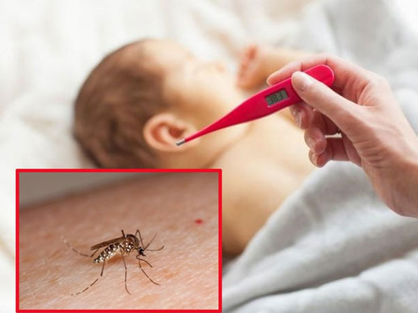 Dịch sốt xuất huyết ở Hà Nội: Số ca mắc tăng kỷ lục, thêm một người tử vong