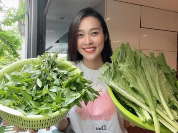Diệp Bảo Ngọc khoe khu vườn sân thượng đáng mơ ước, có đầy đủ các loại rau củ quả