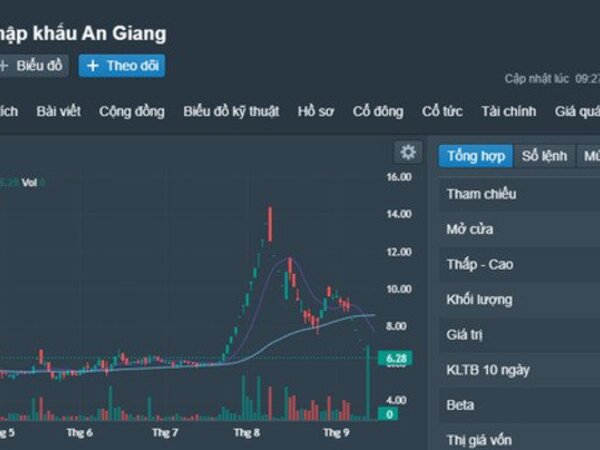 Nhiều cổ phiếu 'nóng' bị yêu cầu giải trình vì giảm sàn 5 phiên liên tục