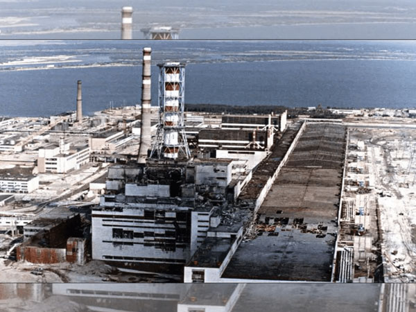Thảm họa hạt nhân Chernobyl: Vì sao lợn rừng tại Tây Âu vẫn nhiễm phóng xạ sau 37 năm?