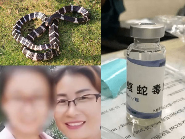 Con gái qua đời trong tức tưởi vì bị rắn độc cắn, người mẹ kiểm tra điện thoại con mới biết chân tướng 'thủ phạm'