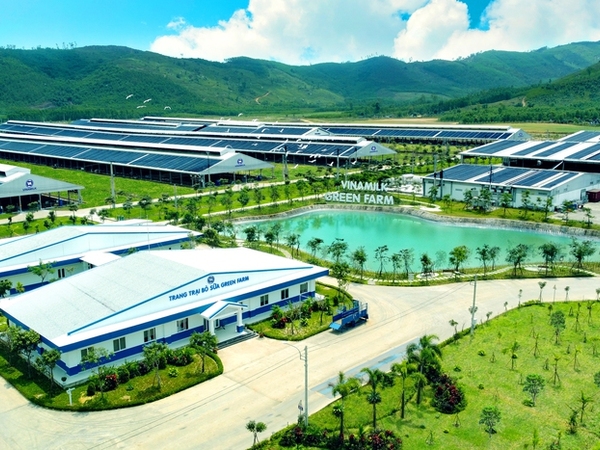 Qua 20 năm cổ phần hóa, Vinamilk luôn nằm trong top doanh nghiệp niêm yết hàng đầu Việt Nam