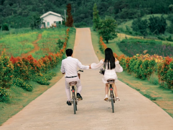 Truy tìm 'con đường nhân duyên' với khung cảnh đầy chất thơ ở Đà Lạt