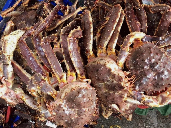 Giảm gần 1 triệu đồng/kg, cua hoàng đế vẫn ế khách