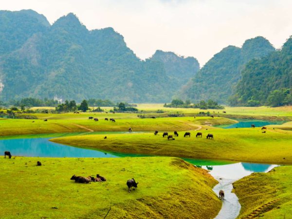 Phát hiện thảo nguyên xanh chỉ cách Hà Nội 2 giờ chạy xe, du khách nhận xét như 'Mông Cổ thu nhỏ'