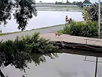 Hốt hoảng nhảy ra một mình để thoát thân, thanh niên bỏ mặc bạn ngồi sau cùng xe máy lao xuống ao