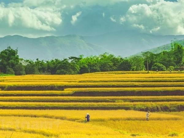 Bình Liêu - Điểm đến hấp dẫn cho người thích khám phá, ưa trải nghiệm