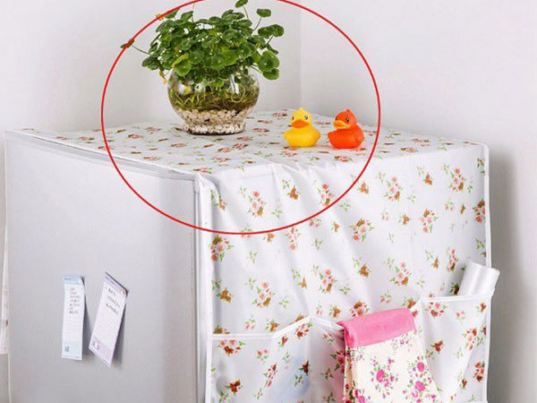 3 món đồ tuyệt đối không đặt trên nóc tủ lạnh