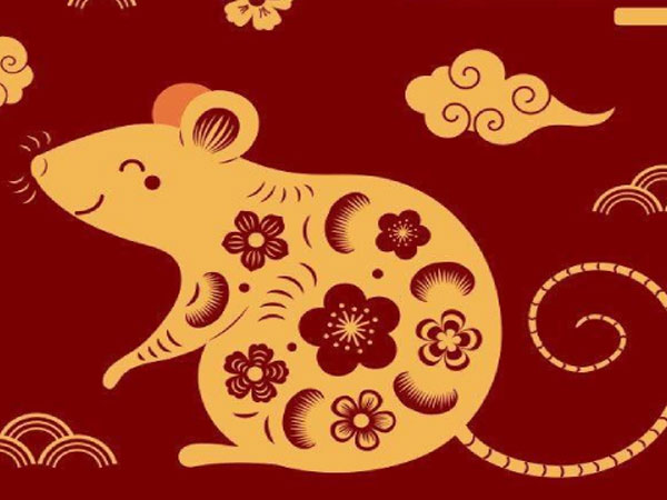 Tuổi Tý hợp màu gì? Cách chọn màu hợp mệnh đem đến vận may và tài lộc