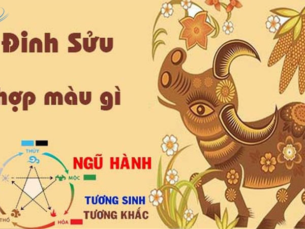 Tuổi Sửu hợp màu gì? Cách chọn màu hợp tuổi Sửu giúp hanh thông phát lộc
