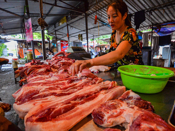 Giá thịt lợn hơi lại ‘chạm đáy’, người chăn nuôi thua lỗ