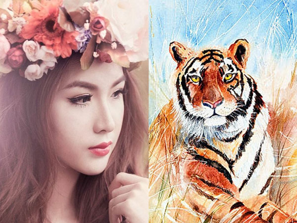 Tuổi Dần hợp màu gì? Cách chọn màu sắc phong thủy cho tuổi Dần
