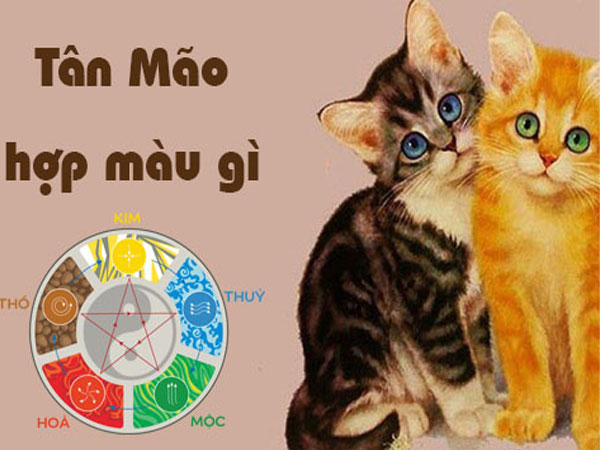 Tuổi Mão hợp màu gì? Cách chọn màu sắc kích hoạt tài lộc