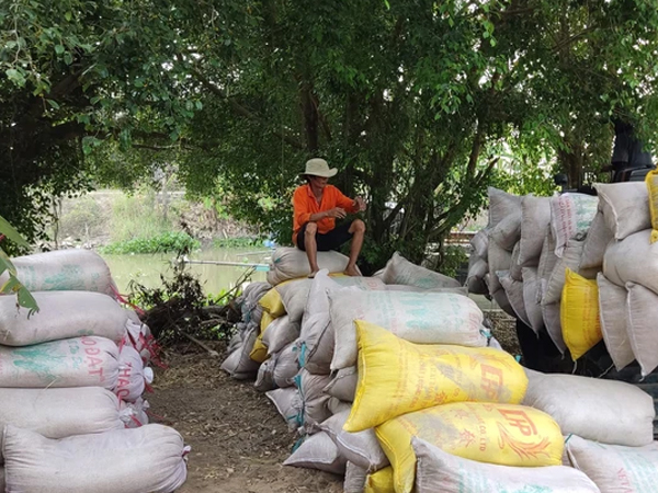 Một thị trường lớn của Việt Nam vừa chào mua thêm 500.000 tấn gạo