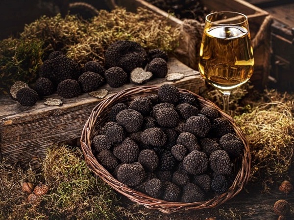Nấm dại đen sì có gì ngon giá tới nửa tỷ đồng/kg?