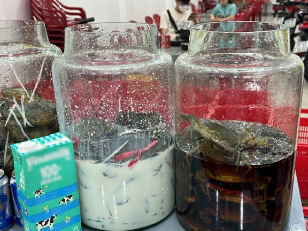 Cho cua Cà Mau 'tắm' sữa tươi, xá xị, chủ quán ở TP.HCM bán 100kg mỗi ngày