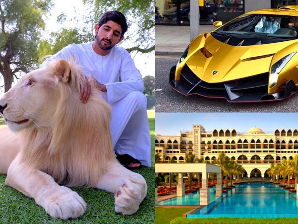 Thái tử Dubai thích làm thơ, nuôi 'quái thú' và khối tài sản 400 triệu USD
