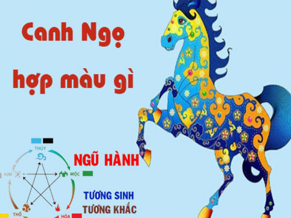 Ảnh bìa bài viết 902509