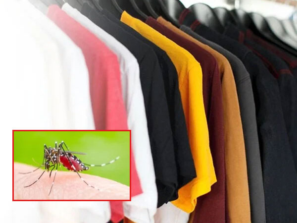 Mặc quần áo màu gì để không bị muỗi đốt?