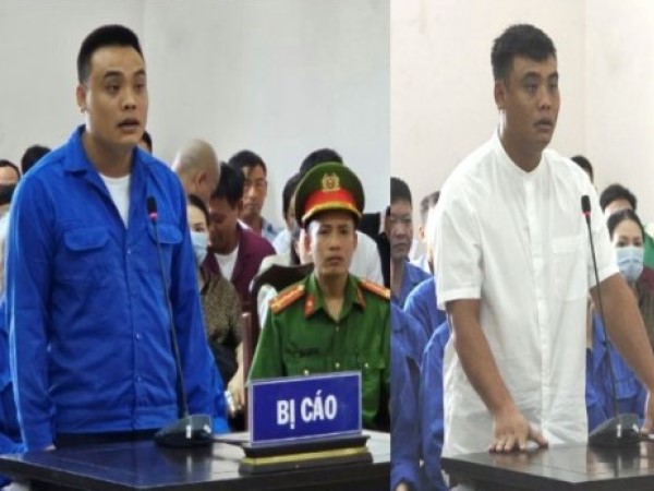 Anh em đại gia lan đột biến bị đề nghị 48 - 72 tháng tù