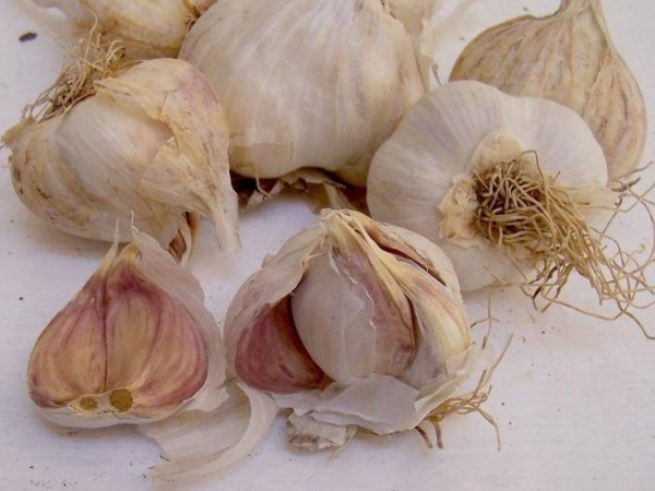 Ăn tỏi mỗi ngày phòng bệnh, người đàn ông trả giá đắt